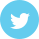Twitter Icon
